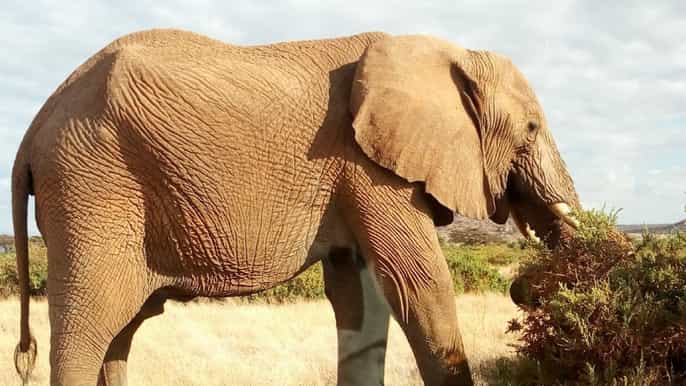 from arusha lake manyara national park fullday trip