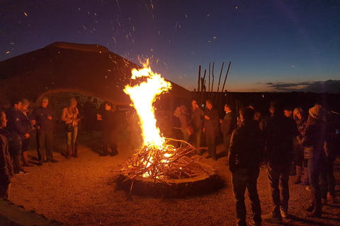 From Cape Town: 2-Day Safari at Garden Route Game Lodge