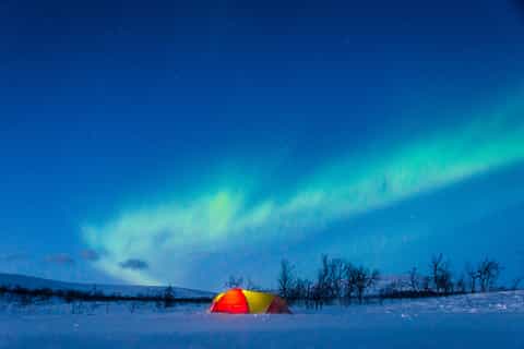 From Tromsø: 2-Day Dog Sled Expedition