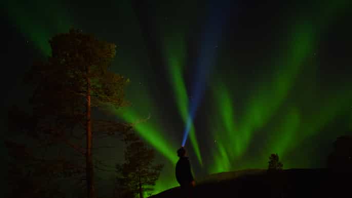 from tromsø hike with huskies under the northern lights