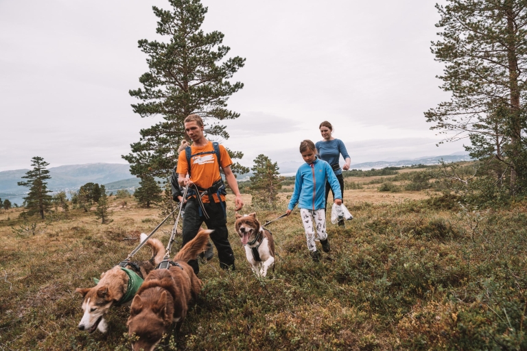 Ab Tromsø: Nordische Wanderung mit HuskiesAb Tromso: Nordische Wanderung mit Huskies