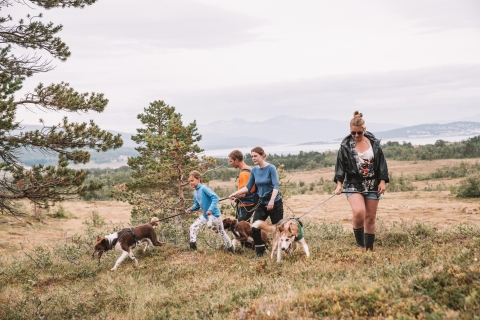 Ab Tromsø: Nordische Wanderung mit HuskiesAb Tromso: Nordische Wanderung mit Huskies