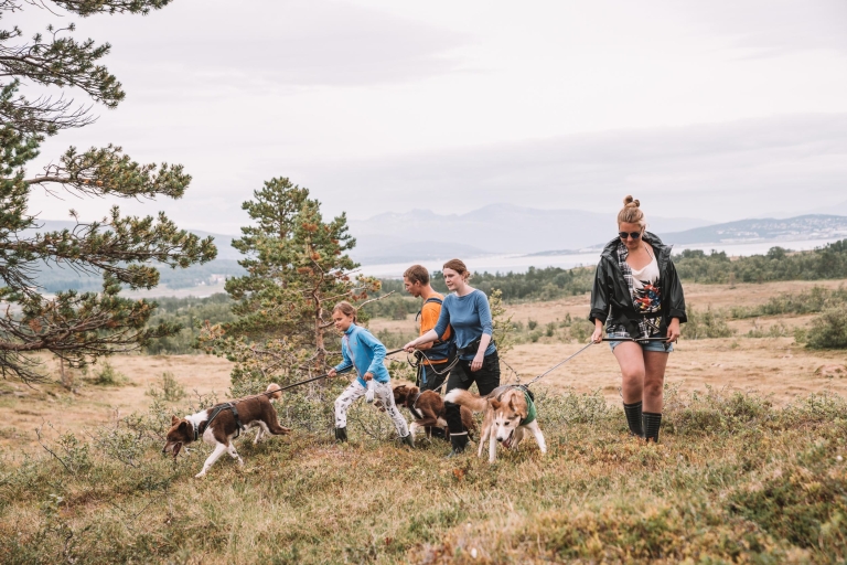 Van Tromso: Nordic Husky-wandeling