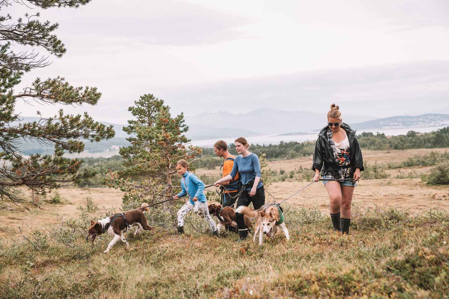 Tromsø : Randonnée avec huskies et visite de chiots avec déjeuner traditionnel