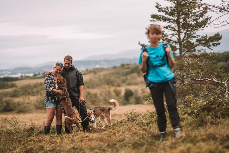 Van Tromso: Nordic Husky-wandeling