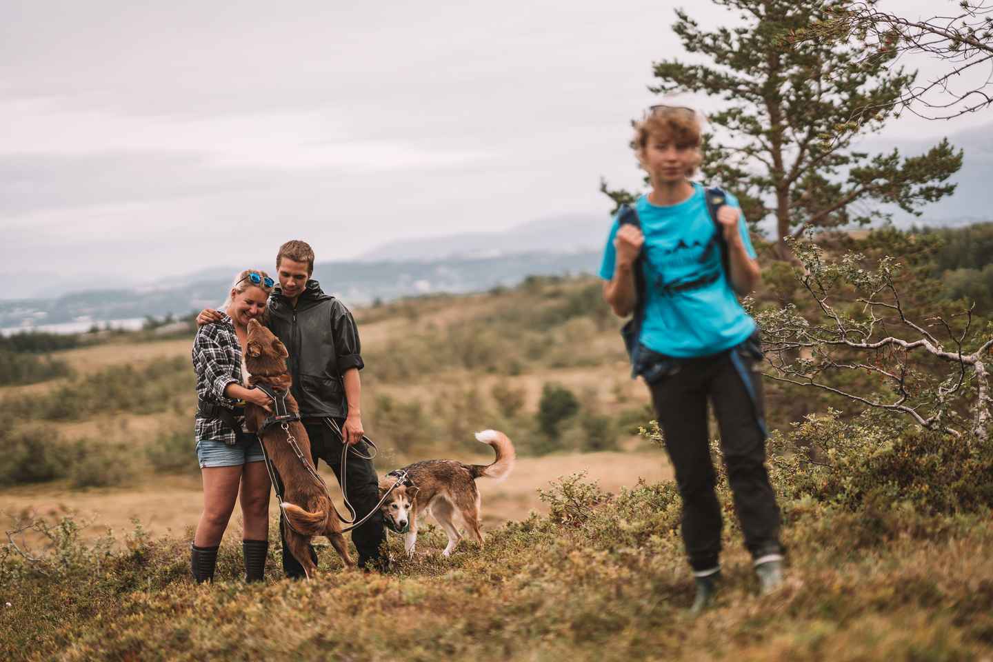 Tromsø : Randonnée avec huskies et visite de chiots avec déjeuner traditionnel