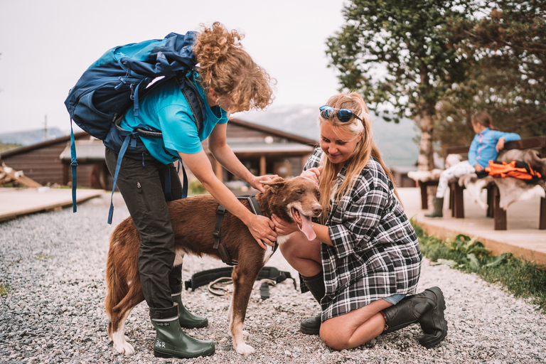 Van Tromso: Nordic Husky-wandeling