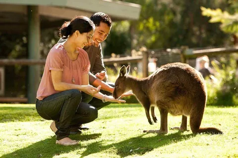 Parque Natural de Perth y aspectos destacados de la ciudad - Visitas en grupo reducido