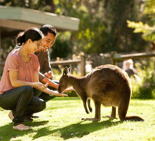 Visites de la ville à Perth