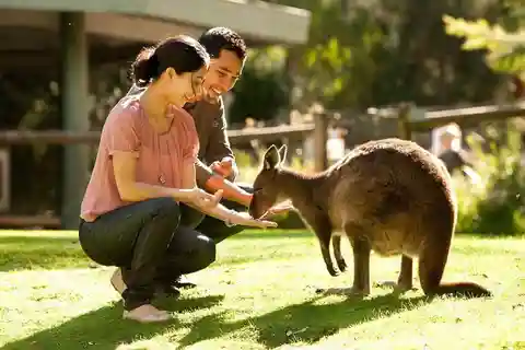 Perth Wildlife Park & City Highlights - Small Group Tours