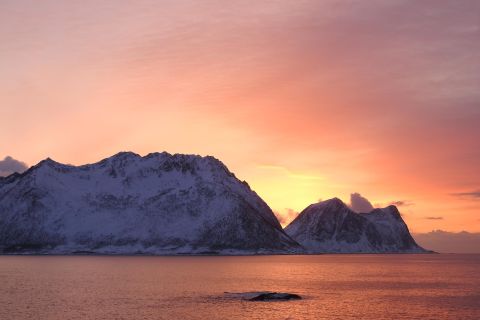 Tromsø: Midnight Cruise