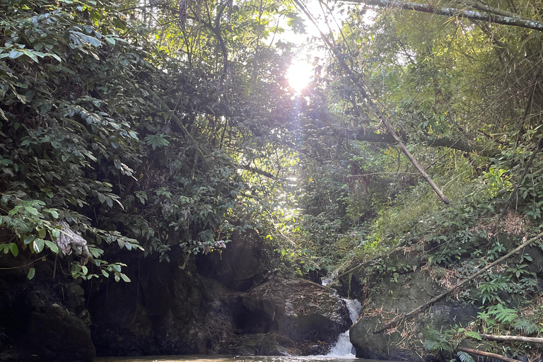 Caguas : Aventure dans les cascades et les grottes