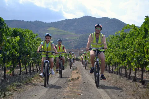 Salou: Ruta en bici con cata de vinos