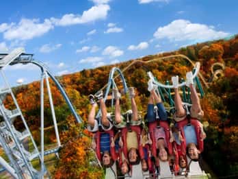 Williamsburg: Busch Gardens Ticket & Wasserland Option Williamsburg: Busch Gardens Ticket & Wasserland Option
