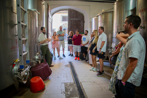 Florence : Sienne, San Gimignano et Pise en petit groupe