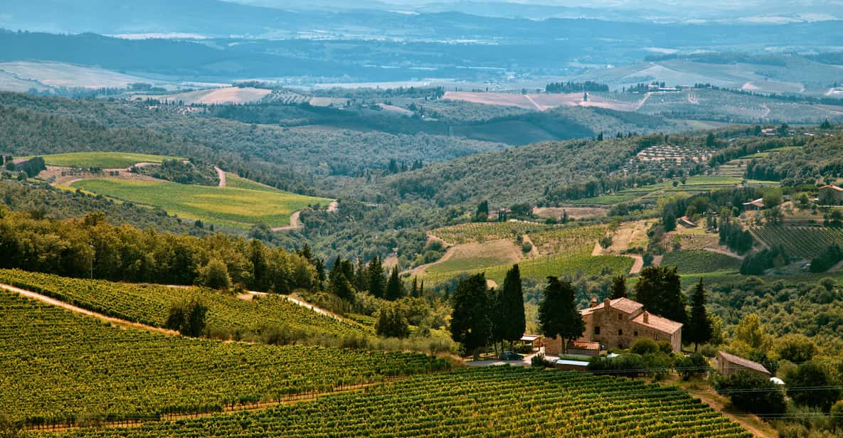 Napa Valley: Airplane Sightseeing Tour | GetYourGuide