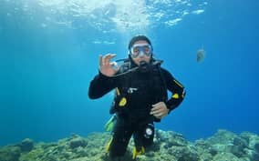  - Canarie.it