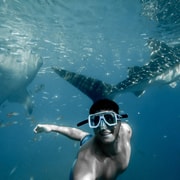 Cebu: Oslob Whale Shark Swimming & Kawasan Canyoneering Cebu: Oslob Whale Shark Swimming & Kawasan Canyoneering