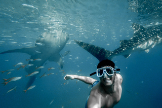 Sagay image