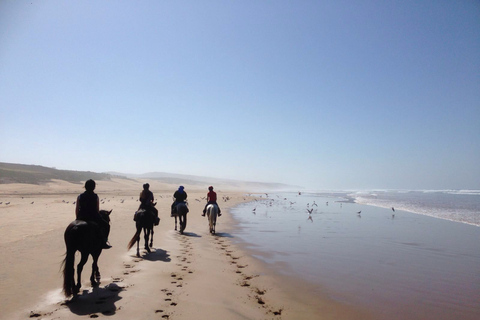 De Essaouira: Passeio a cavalo de uma horaDe Essaouira: passeio a cavalo de 1 hora