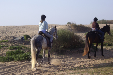 Depuis Essaouira : promenade d’1 h à cheval