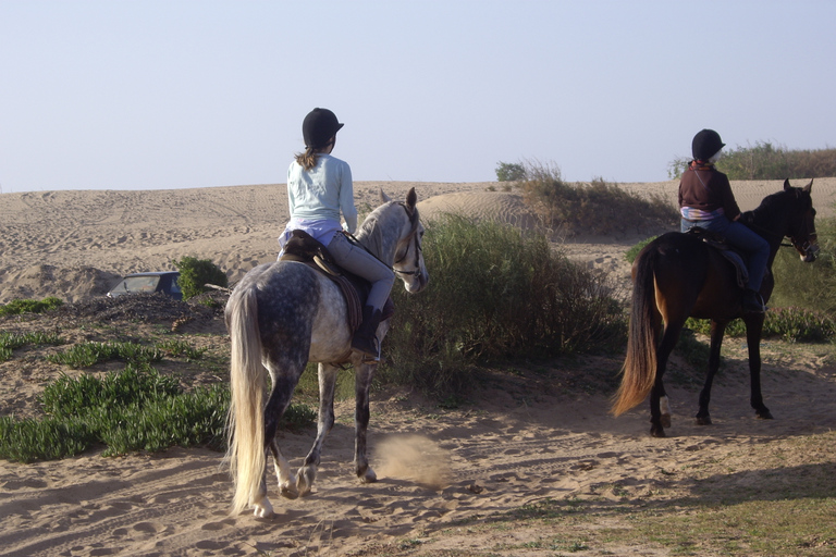 De Essaouira: Passeio a cavalo de uma horaDe Essaouira: passeio a cavalo de 1 hora