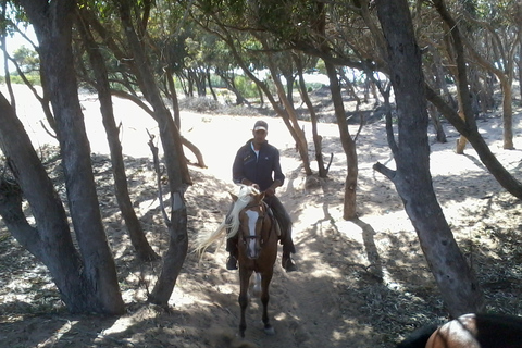 Desde Esauira: paseo a caballo de 1 hora