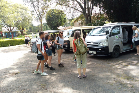 Desde Arusha: tour privado de día completo al Parque Nacional Tarangire