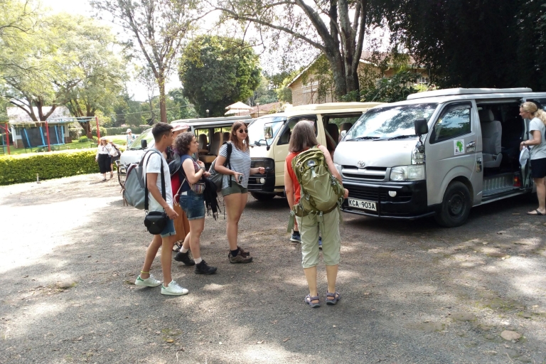 Desde Arusha: tour privado de día completo al Parque Nacional Tarangire