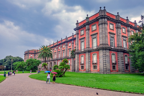 Naples : visite guidée privée du musée Capodimonte