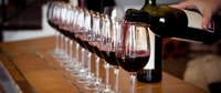 De Atlanta, North Georgia Wine Country Tour - Hizvo