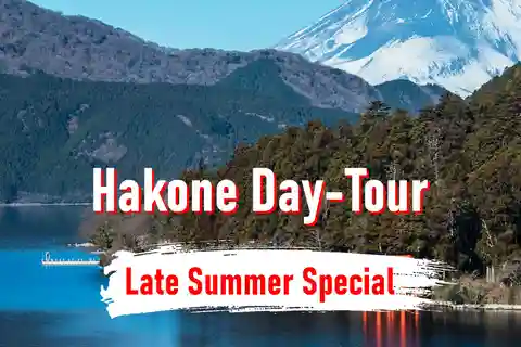 From Tokyo: 10-hour Hakone Private Custom Tour