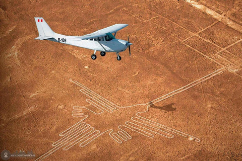 Desde Ica: vuelo sobre las Líneas de Nazca con traslado en autobús