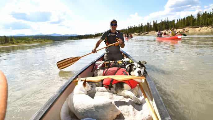 whitehorse medio día de viaje en canoa por el río con perros yukon