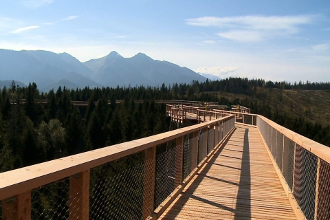 From Kraków: Slovakia Treetop Walk and Dunajec Rafting Tour With Cableway Ticket