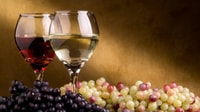 De Atlanta, North Georgia Wine Country Tour - Hizvo