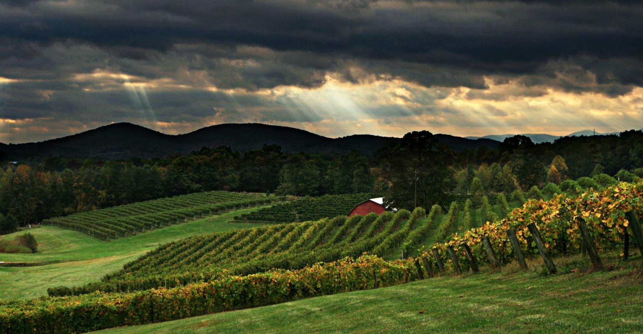 Vanuit Atlanta, Noord Georgia Wine Country Tour - Hizvo