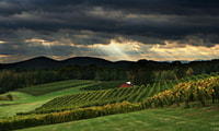 De Atlanta, North Georgia Wine Country Tour - Hizvo