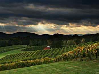 Von Atlanta: North Georgia Wine Country Tour Von Atlanta: North Georgia Wine Country Tour