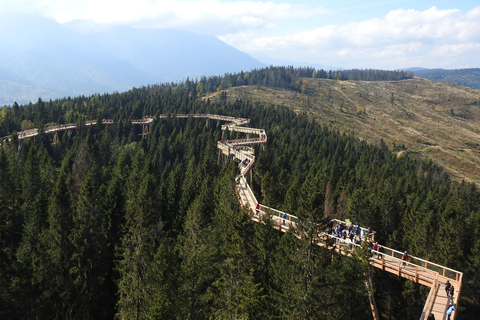 From Kraków: Slovakia Treetop Walk and Thermal Baths Group Tour with Ticket to Cableway in Slovakia Included