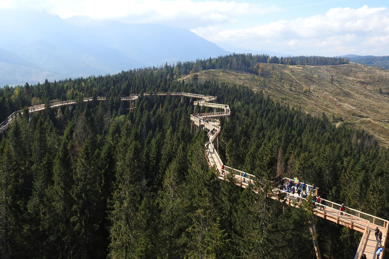 From Kraków: Slovakia Treetop Walk and Thermal Baths Group Tour with Ticket to Cableway in Slovakia Included