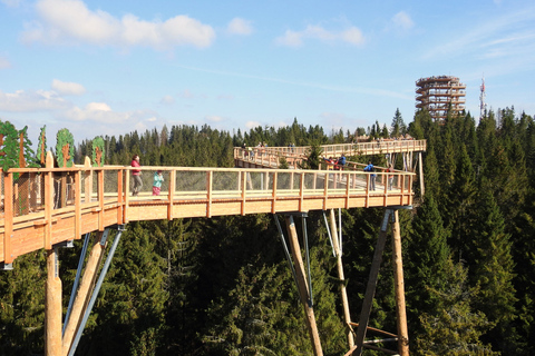 Ab Krakau: Baumkronenweg & Thermal-BäderGruppentour inklusive Seilbahnticket in der Slowakei