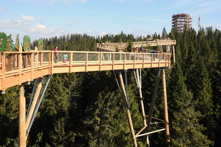 Ab Krakau: Baumkronenweg & Thermal-BäderGruppentour inklusive Seilbahnticket in der Slowakei