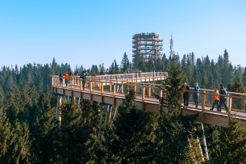 From Kraków: Slovakia Treetop Walk and Thermal Baths Group Tour with Ticket to Cableway in Slovakia Included