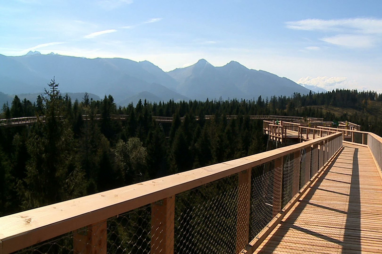 From Kraków: Slovakia Treetop Walk and Thermal Baths Group Tour with Ticket to Cableway in Slovakia Included