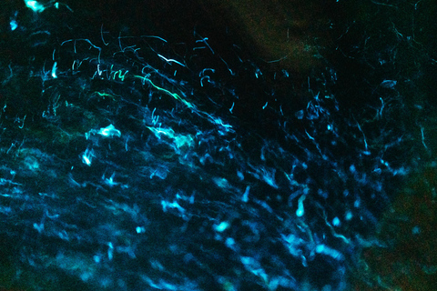 Phuket: Twilight Sea Canoe & Highlight Glowing Plankton