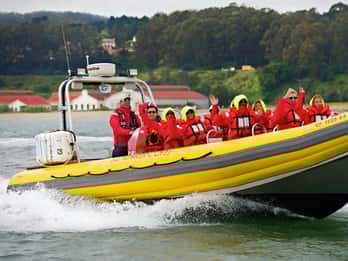 Bucht von San Francisco: Abenteuer Bootstour Bucht von San Francisco: Abenteuer Bootstour