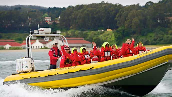 san francisco bay adventure boat tour