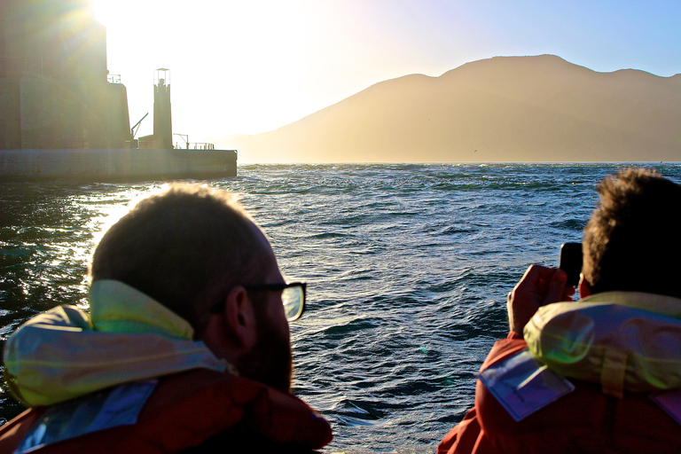 San Francisco Bay: Adventure Boat Tour Public Adventure Boat Tour