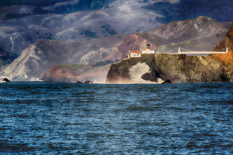 San Francisco Bay: Adventure Boat Tour Public Adventure Boat Tour